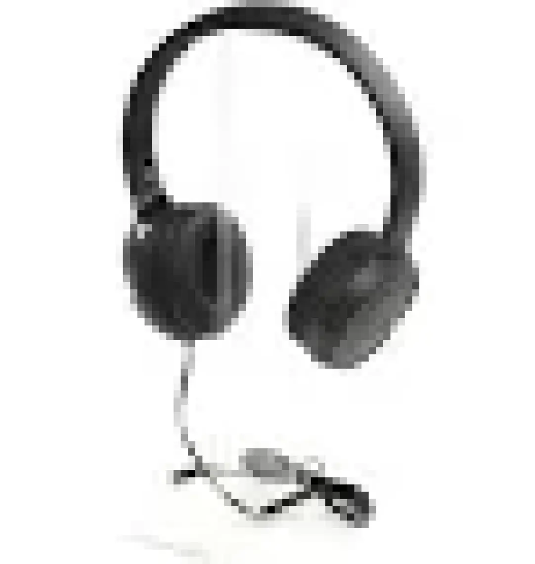 JBL T500 Mikrofonlu Kablolu Kulaküstü Siyah Kulaklık