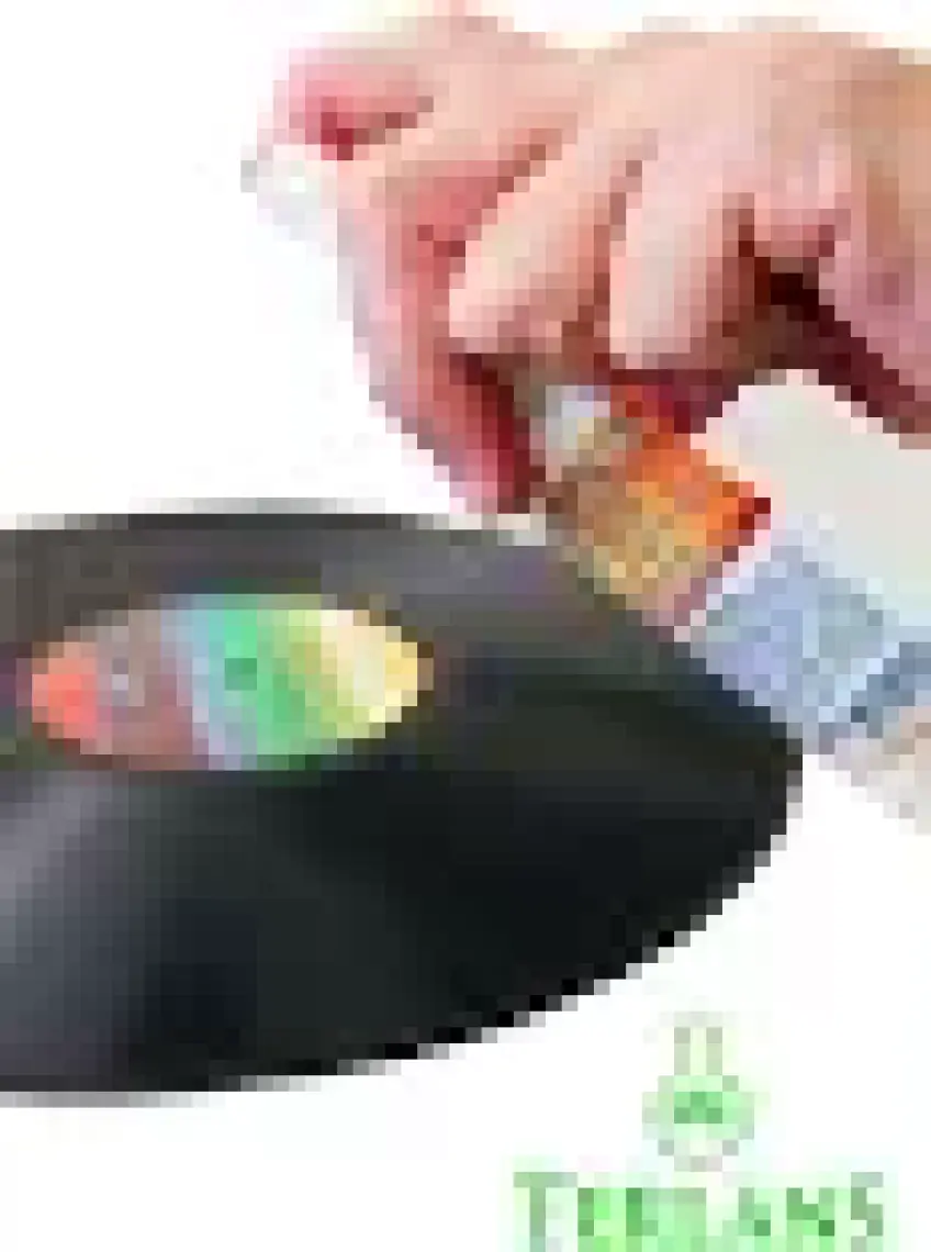 Terlans Retro Plak ve Iğne Temizleme Bakım Seti  (Gramofon Pikap - Plak Çalar) Vinyl Record - Stylus Cleaner