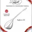 Donizetti Renkli Bağlama Saz Kılıfı Taşıma Çantası