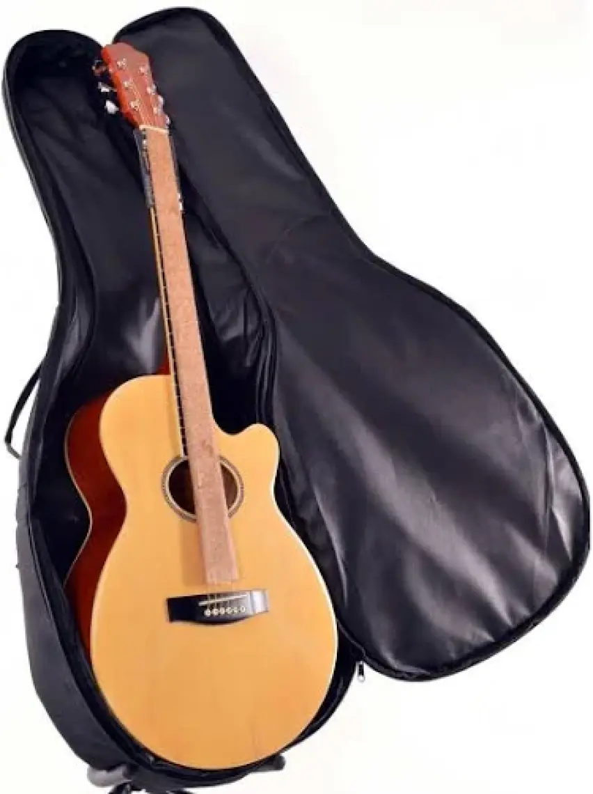 Akustik Gitar Taşıma Kılıf Gigbag Çanta Extreme XGSA