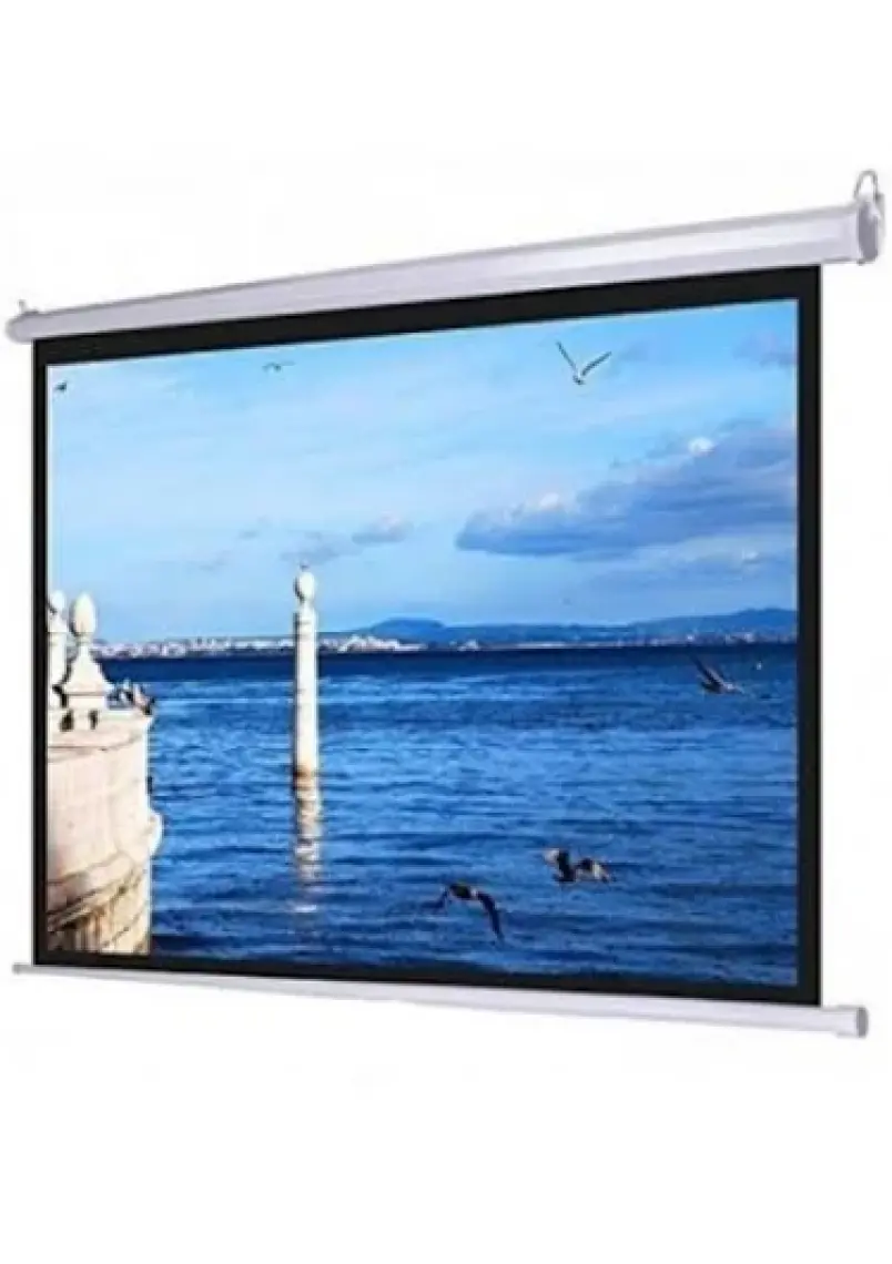 LiteOut 300x225 cm Motorlu Kumandalı Projeksiyon Perdesi