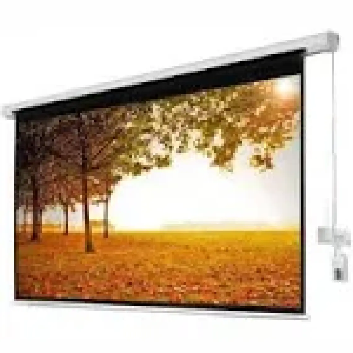Xbright 200x200cm Motorlu Uzaktan Kumandalı Projeksiyon Perdesi (Arkası Siyah Fonlu) BE-200