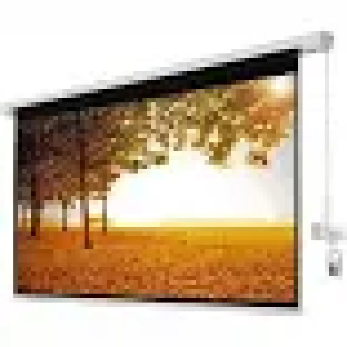 Xbright 200x200cm Motorlu Uzaktan Kumandalı Projeksiyon Perdesi (Arkası Siyah Fonlu) BE-200