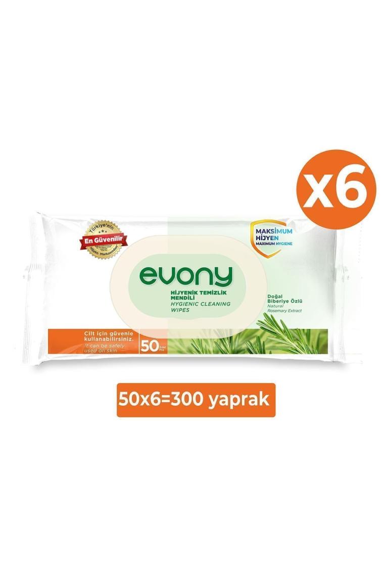 Hijyenik Temizlik Mendili 6x50’li (300 YAPRAK)