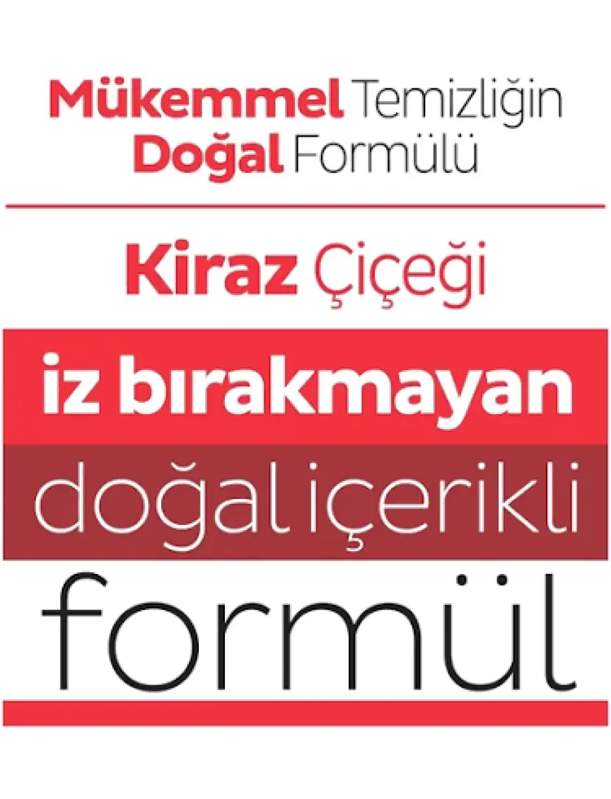 Sleepy Easy Clean Yüzey Temizlik Havlusu&Mendili 100 Yaprak