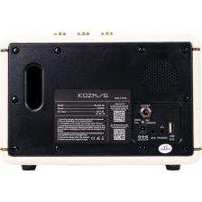 KOZMOS Blaze-30CR Uygulama ile Kontrol Edilebilen Elektro Gitar Amfisi ve Bluetooth Hoparlör
