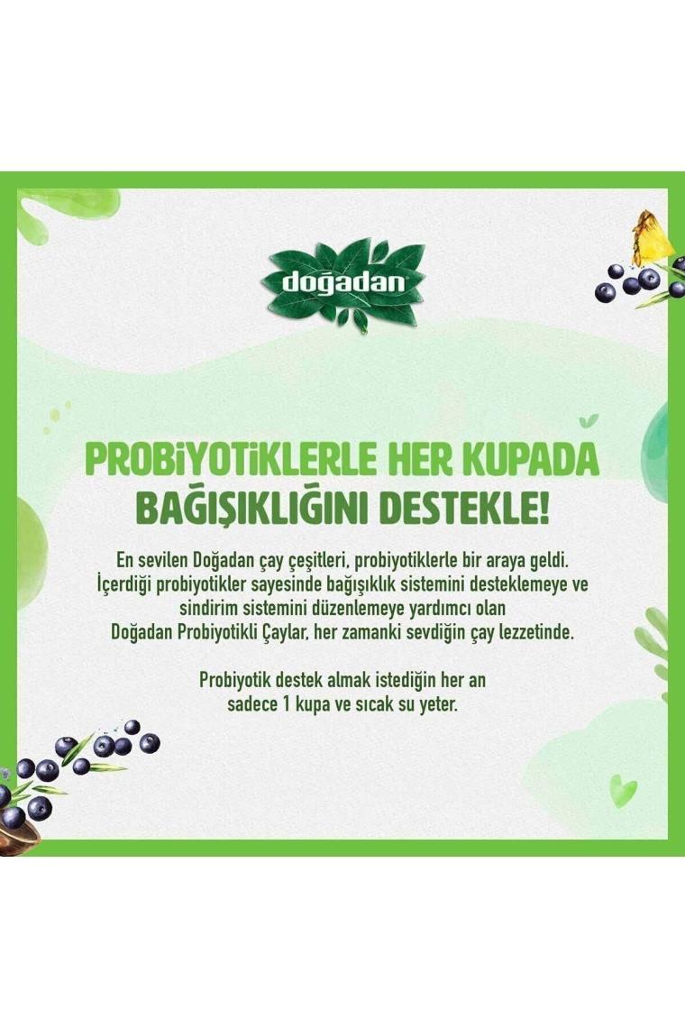 Probiyotikli Yeşil Çay Açai Ananaslı 14l'ü