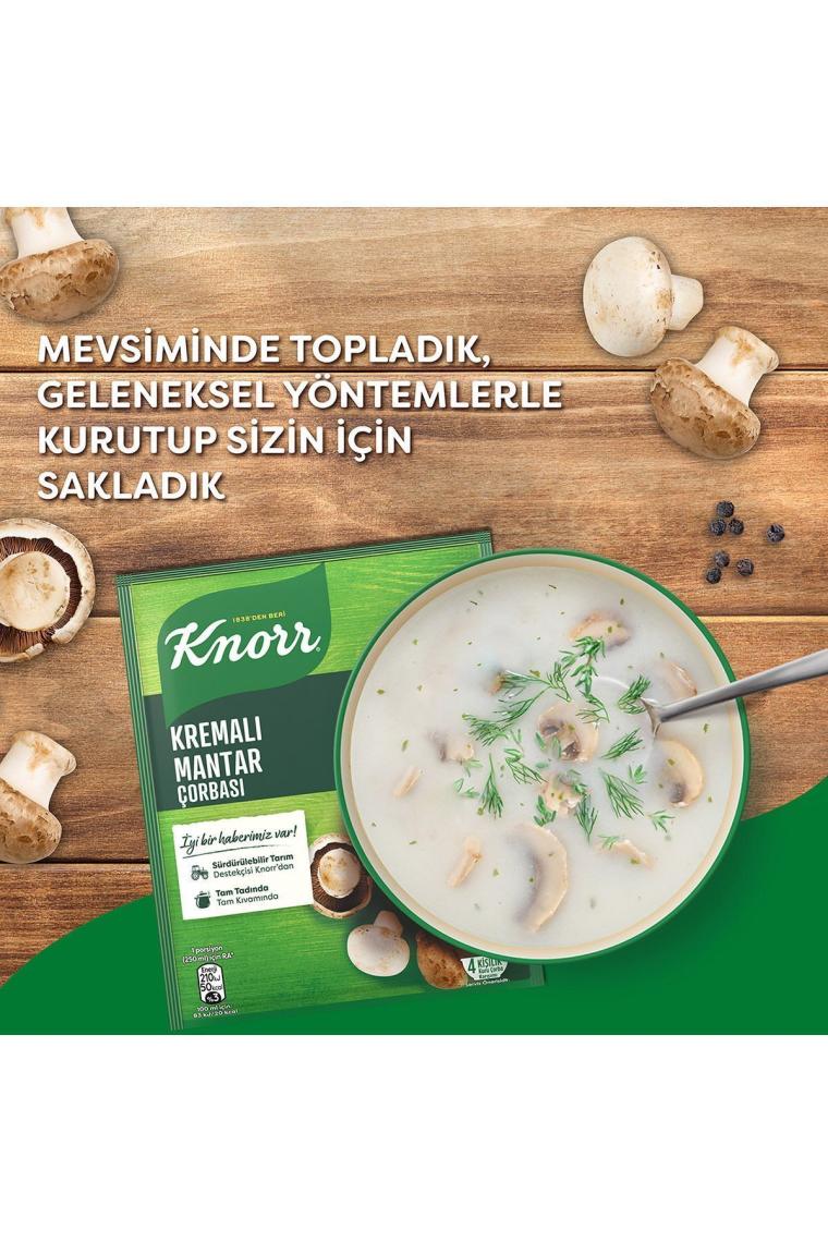 Kremalı Mantar Çorbası 63 gr X 12 Adet