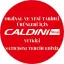 Caldini Boğaz Kelebek Ve Karbüratör Temizleyici 400 Ml