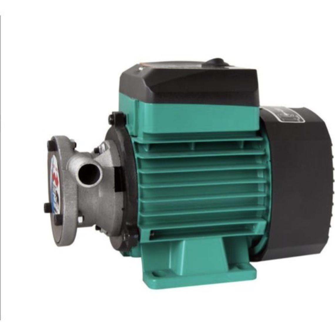 Gross Vakumlu Mazot Aktarma Pompası 220 Volt