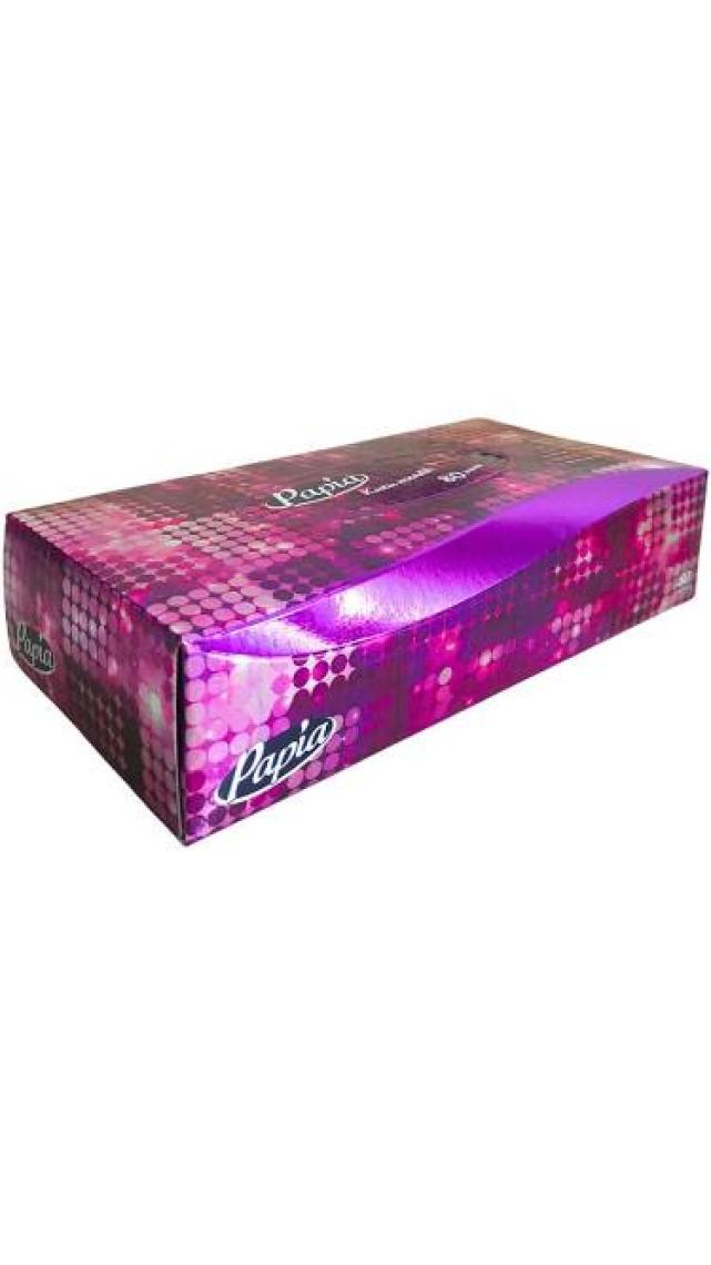 Papia Kutu Mendil 80 Yapraklı x 24 Paketli Koli