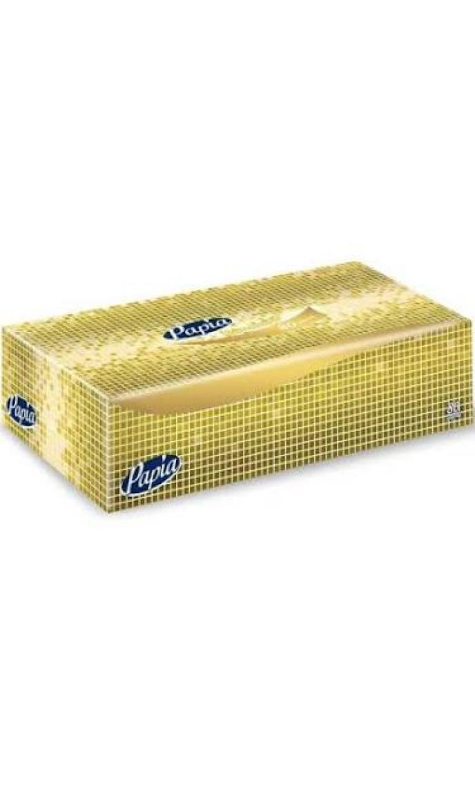 Papia Kutu Mendil 80 Yapraklı x 24 Paketli Koli