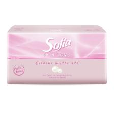 Skin Love Pudra Kokulu Mendil 100'lü