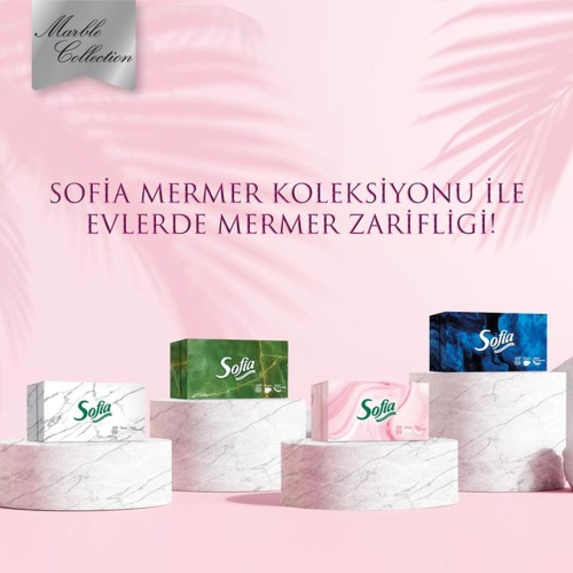 Sofia Kutu Mendil 100 Yaprak 4 Paket