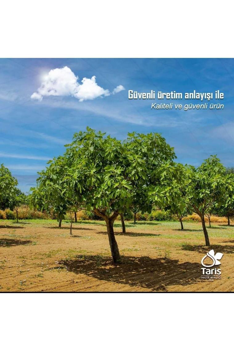Tariş Lavanta Kolonyası 80 Derece 300Cc Cam Şişe