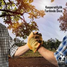 Tariş Lavanta Kolonyası 80 Derece 1000Cc Bidon