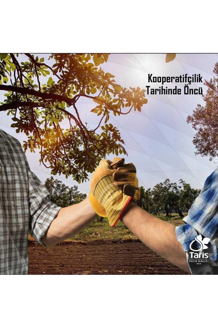 Tariş Lavanta Kolonyası 80 Derece 1000Cc Bidon