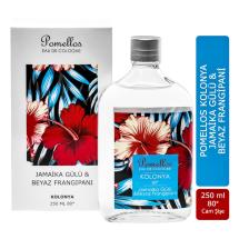 Jamaika Gülü & Beyaz Frangipani Cam Şişe 80 Derece 250 Ml