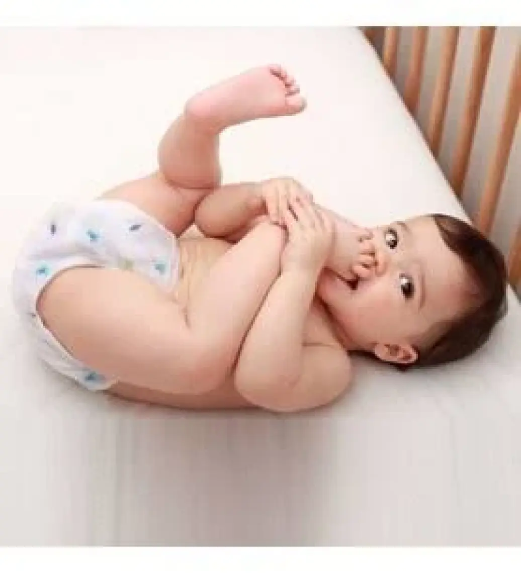 Sevi Bebe Pamuk Pedli Alıştırma Külodu (4 Adet) ART-259