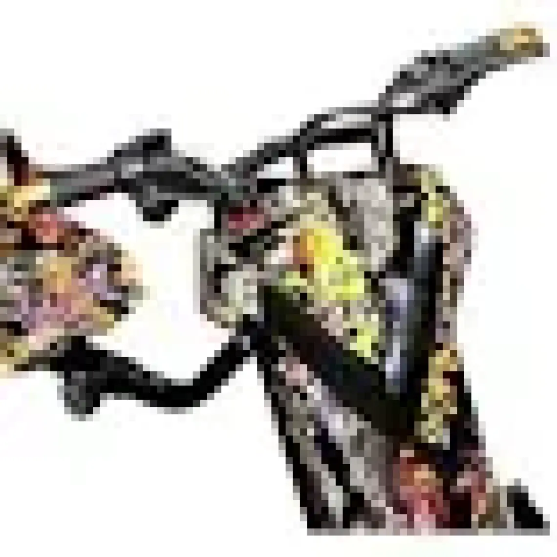 Hoverway Drift Scooter