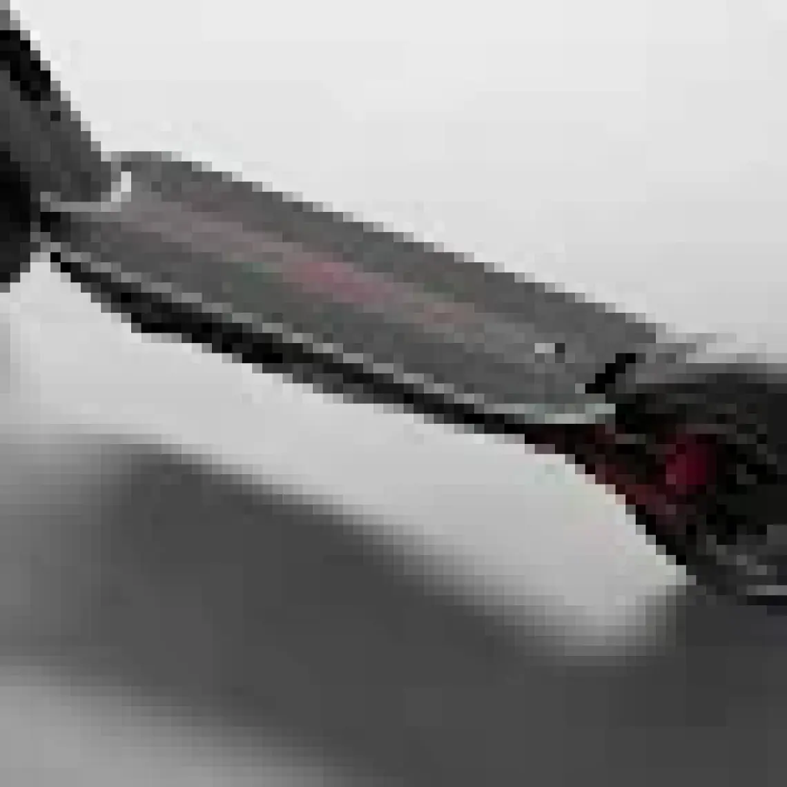 SEGWAY Ninebot F3 Pro  Elektrikli Scooter