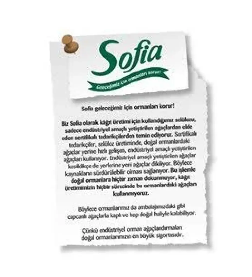 Sofia Kağıt Havlu 12'li