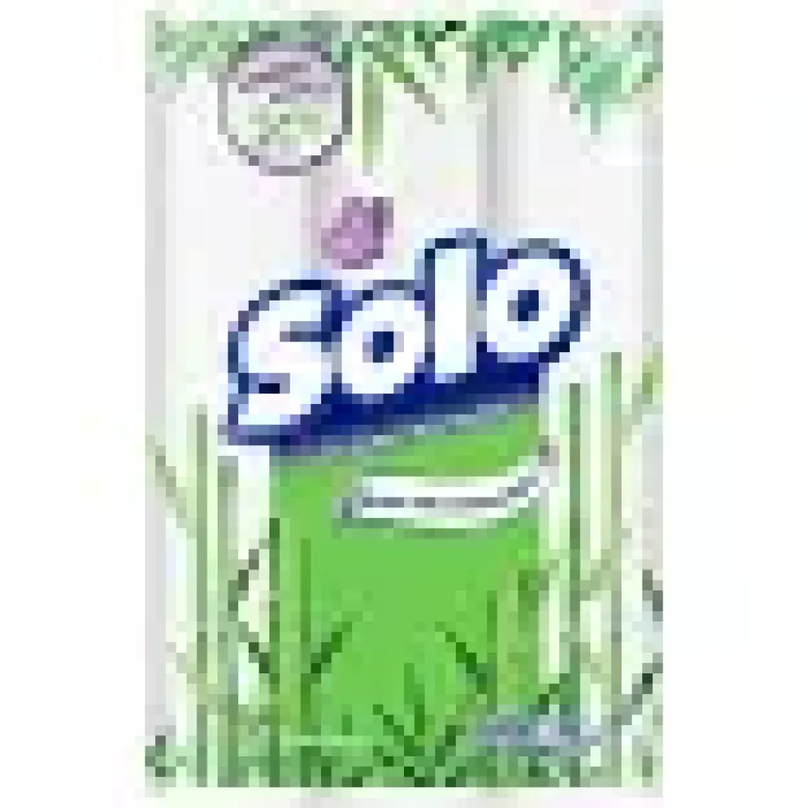 Solo Kağıt Havlu 12'li Akıllı Seçimler
