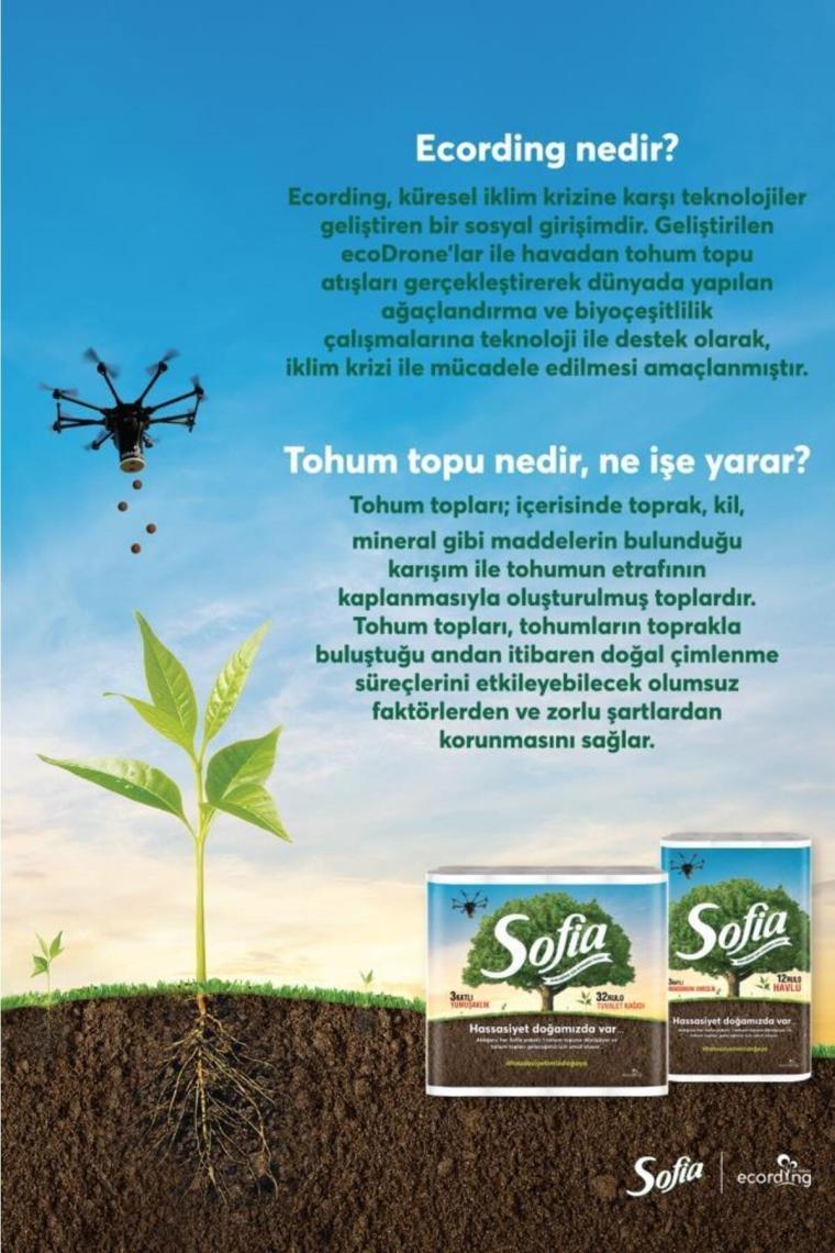 Sofia 96'lı Tuvalet Kağıdı