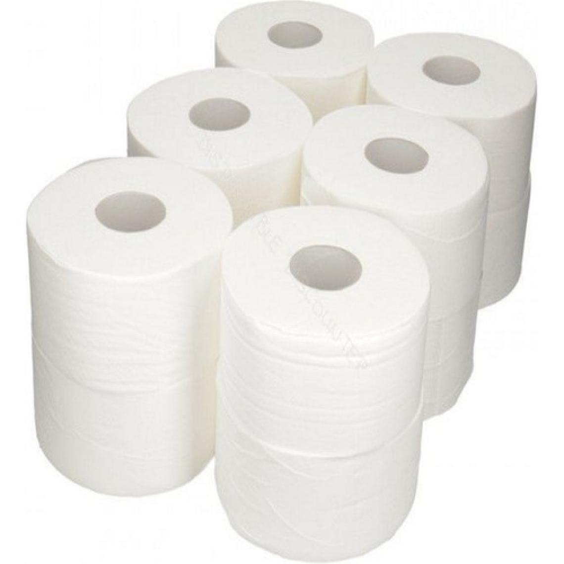 Arı Mini Jumbo Wc Tuvalet Kağıdı 12LI 4 kg