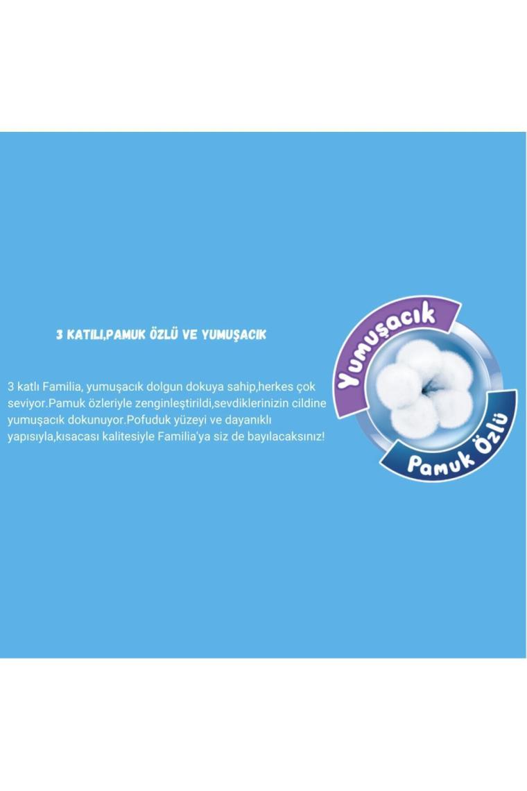 Familia Plus Natural 120'li Tuvalet Kağıdı