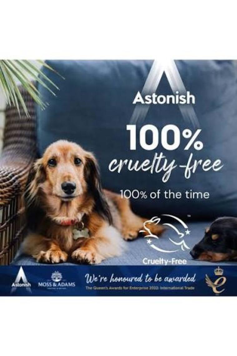 Astonish Leke Çıkarıcı Sprey + Astonish Koltuk ve Halı Temizleyici Sprey 750 ml