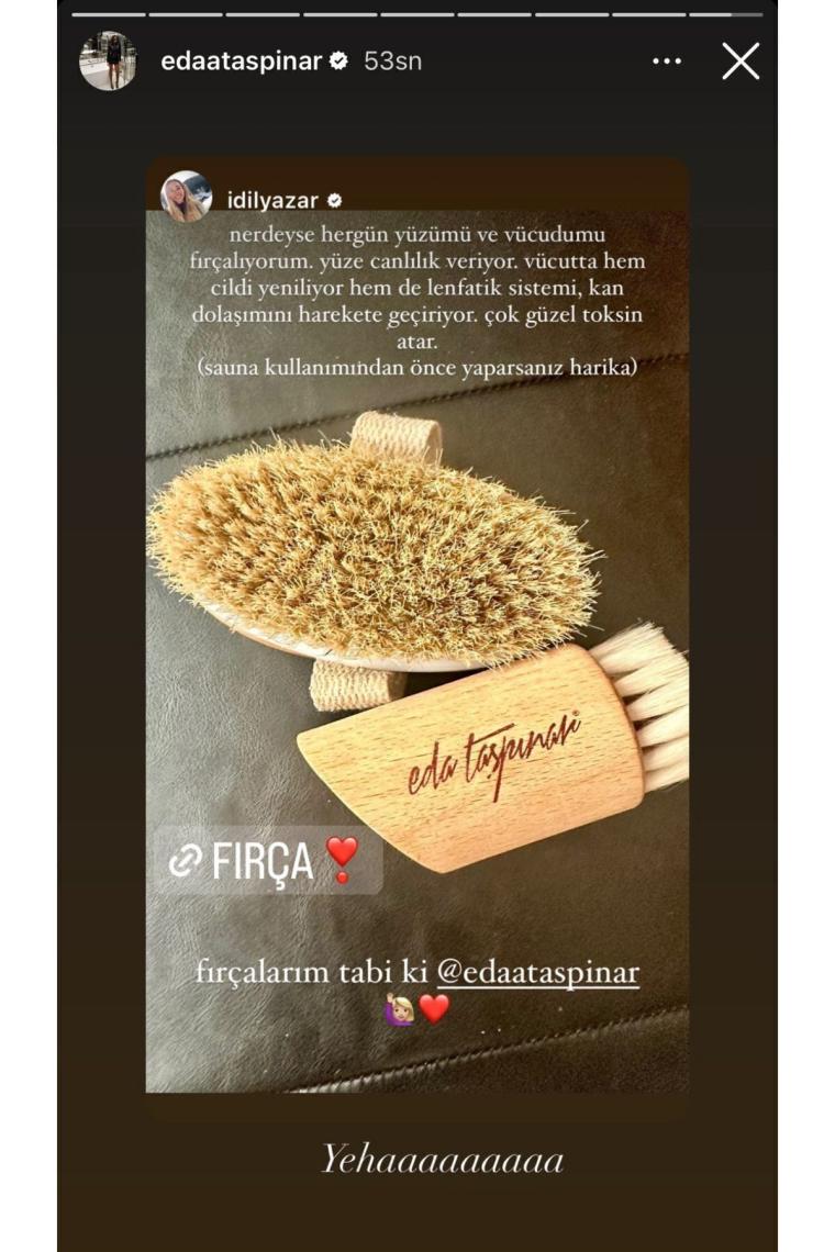 Doğal At Kılı Fırçası