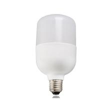 Torch 30 Watt Beyaz Işık Torch LED Ampul