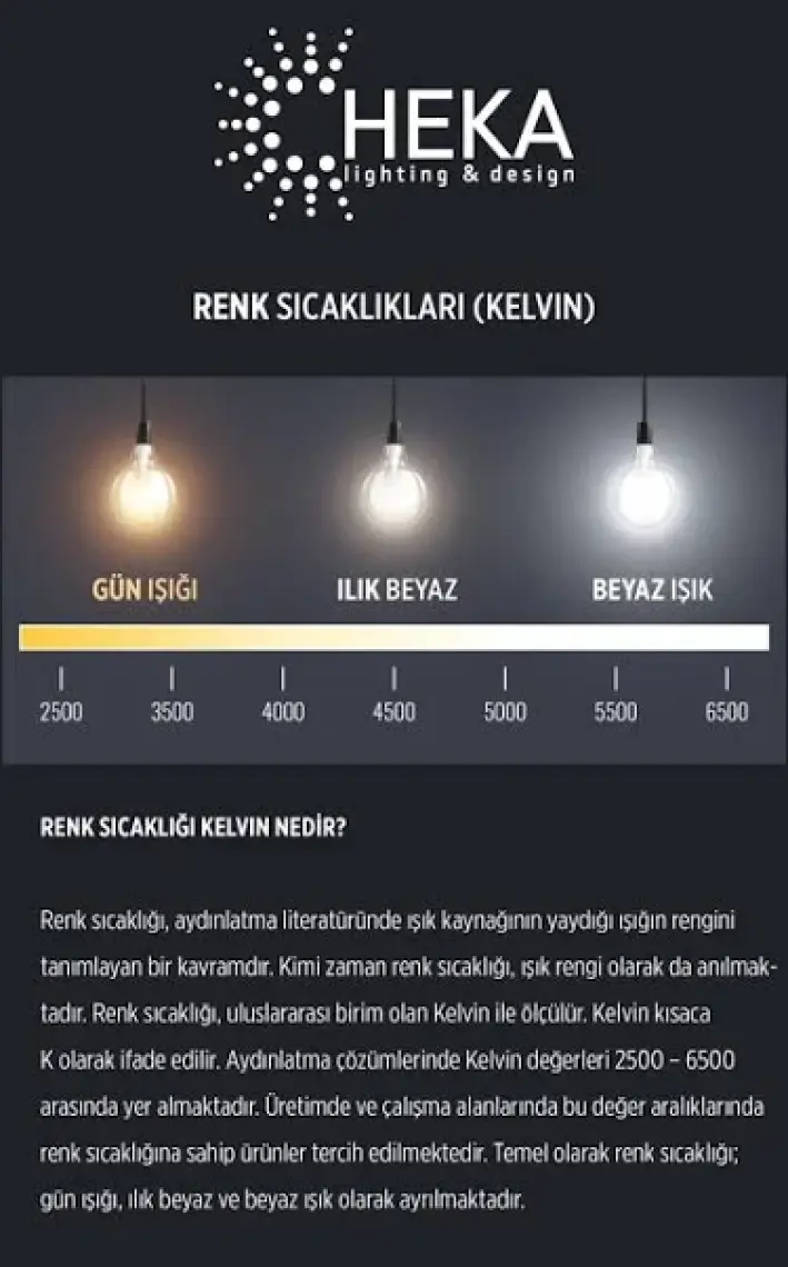 E27 LED FİLAMANLI RUSTIK AMPUL A60 Şeffaf Cam 6W 3000k Gün Işığı ERD-95