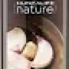 huncalife Nature Sarımsaklı Şampuan 500 ml