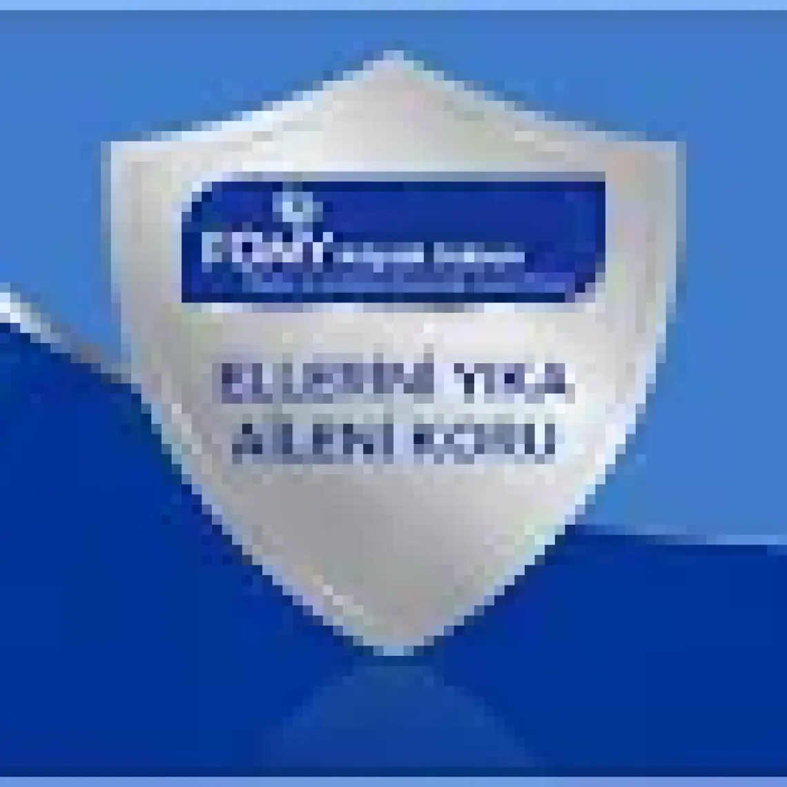 Fomy Saç ve Vücut Köpük Şampuan 900 ml