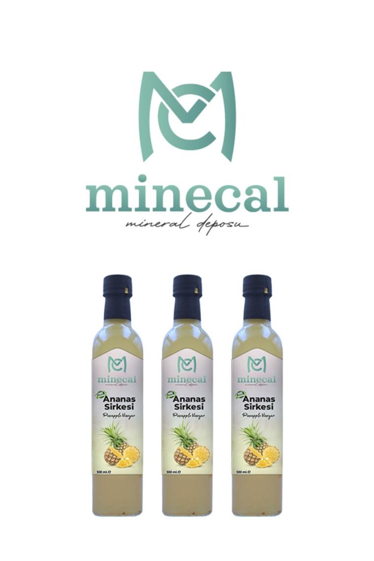 %100 Ev Yapımı Katkısız Ananas Sirkesi 3x500ml