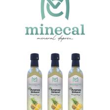 %100 Ev Yapımı Katkısız Ananas Sirkesi 3x500ml