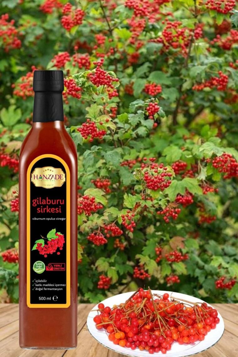 Gilaburu Sirkesi 500 ml Doğal Fermante Içilebilir Katkısız Cam Şişe Viburnum Opulus (GU-969510)