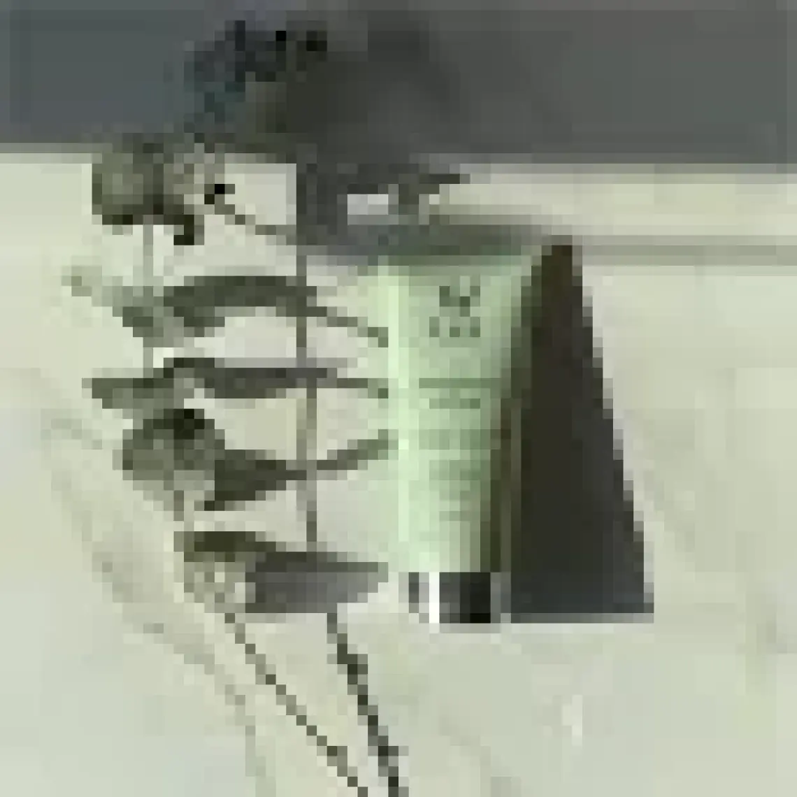 W-Lab Cosmetics Krem 100 ml