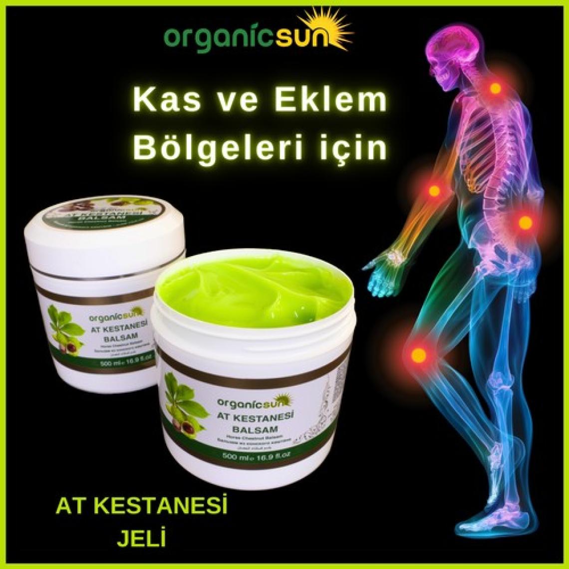 Organicsun At Kestanesi Balsamı 500 ml x 3 Adet Jeli Besleyici Masaj Krem
