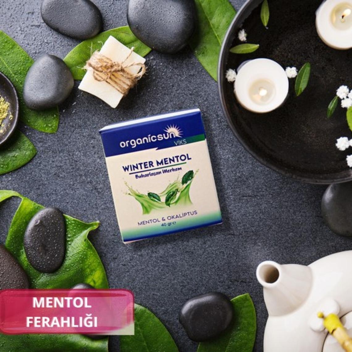 Organicsun Winter Mentol Buharlaşan Merhem Viks Vicks Vikis Mentol ve Okaliptus 40 gr x 6 Adet