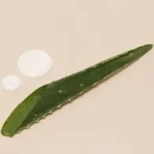 Embryolisse Lait Creme Fluide + 400 ml  El Yüz ve Vücut Kremi