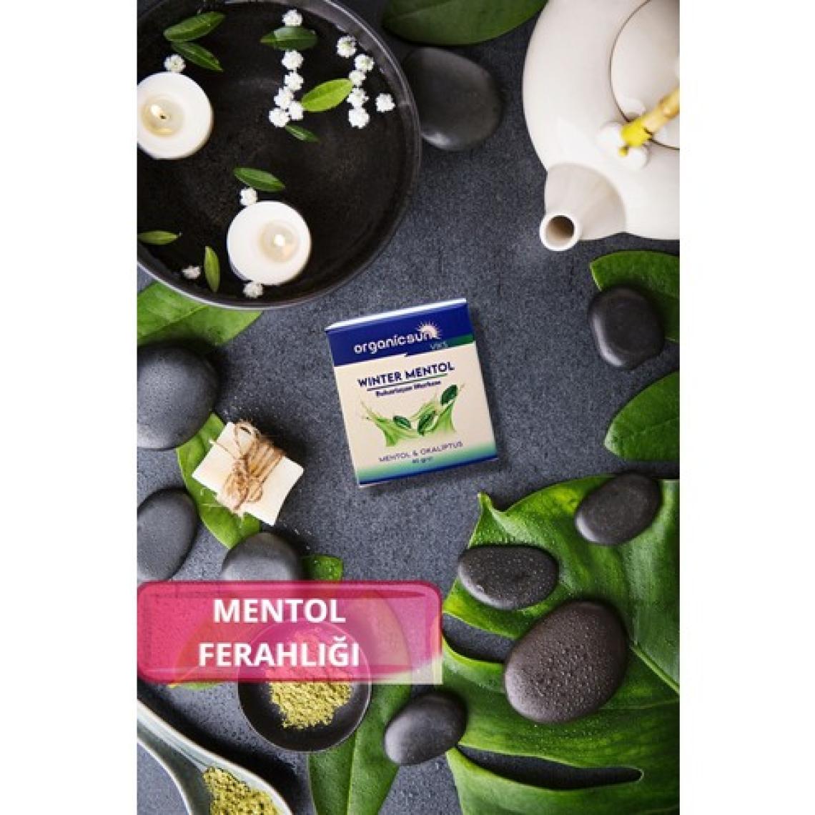 Organicsun Winter Mentol Buharlaşan Merhem Viks Vicks Vikis Mentol ve Okaliptus 40 gr x 2 Adet