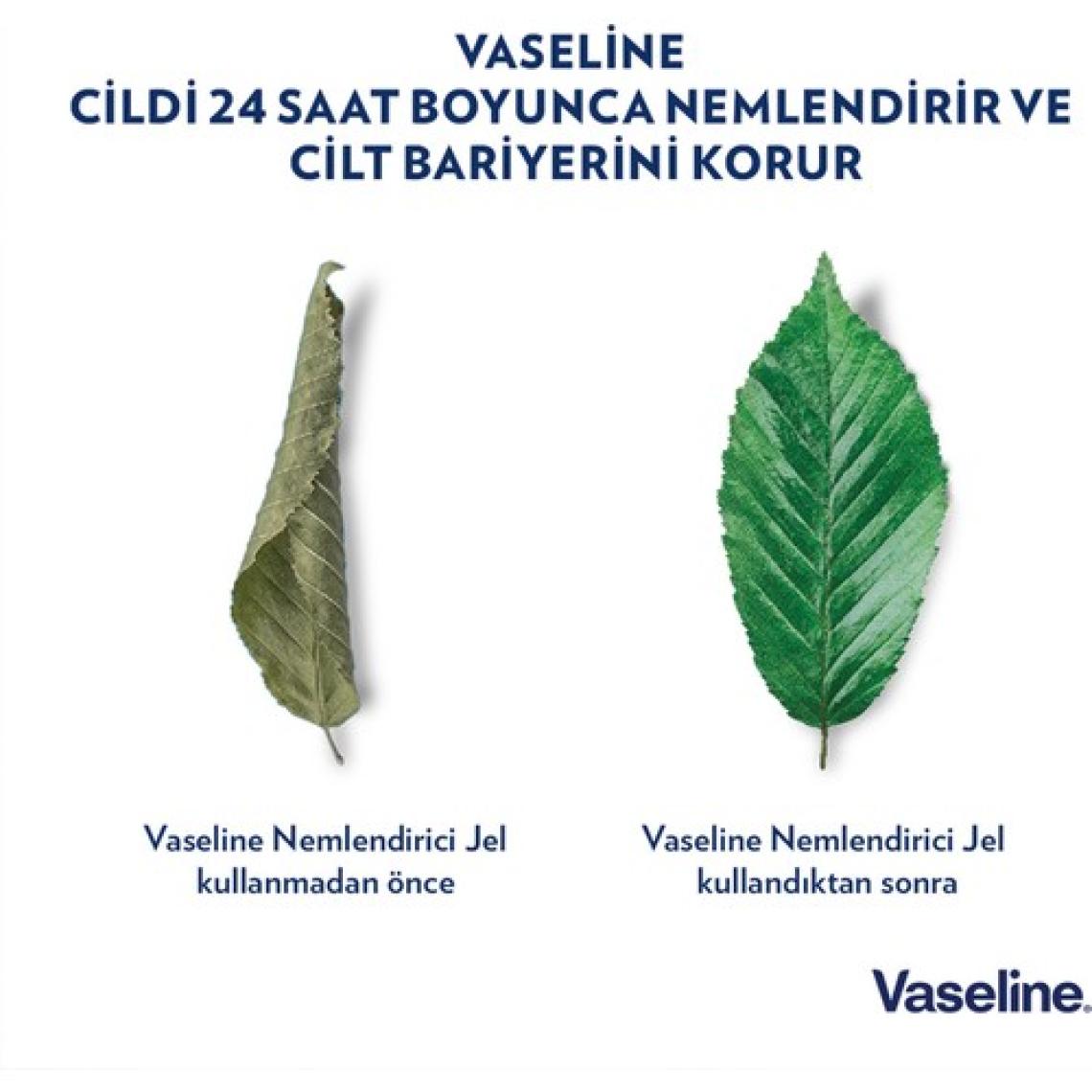 Vaseline Blueseal Original Vazelin 100 ml