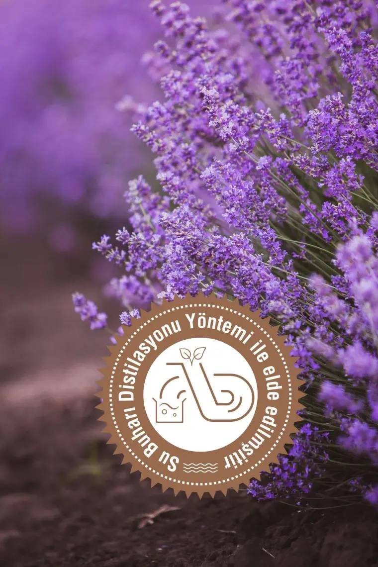 Arifoğlu Lavanta Yağı 20 ml