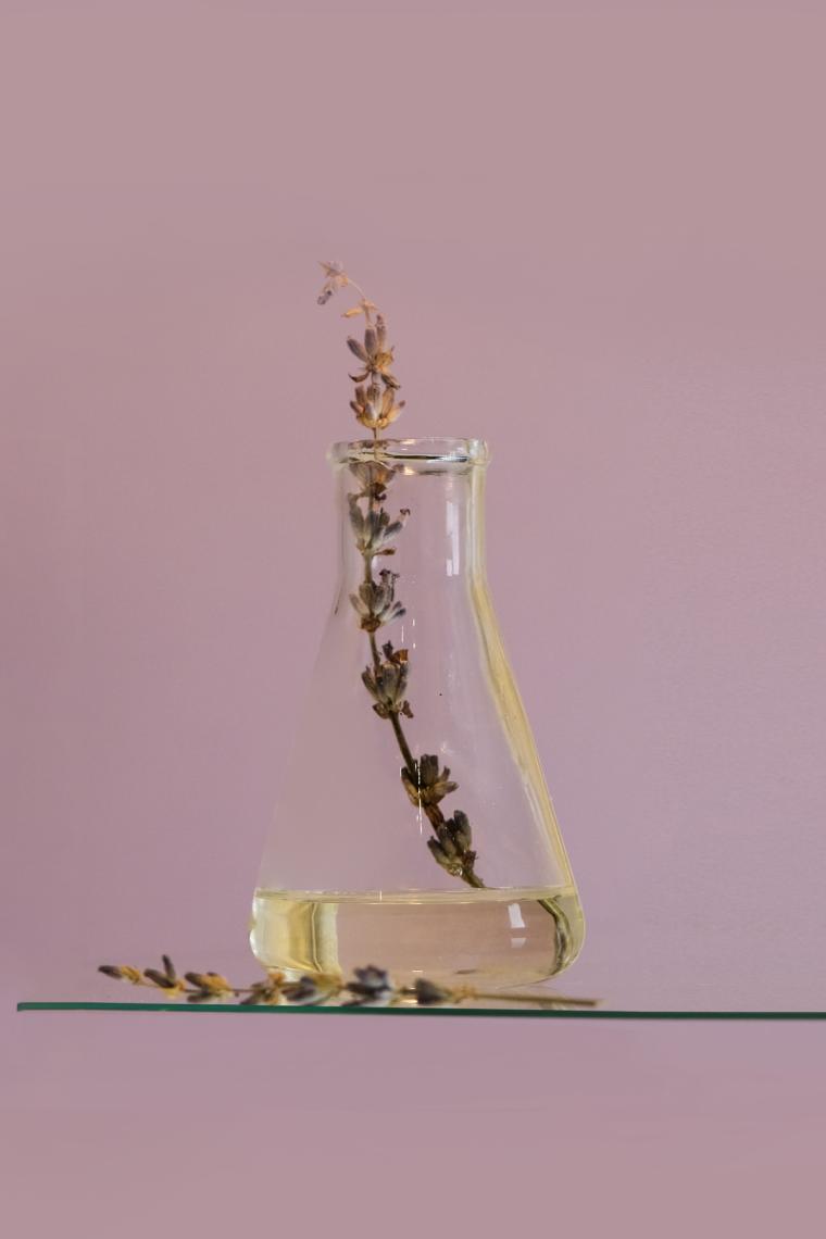Lavanta Uçucu Yağı %100 Saf 10 ml