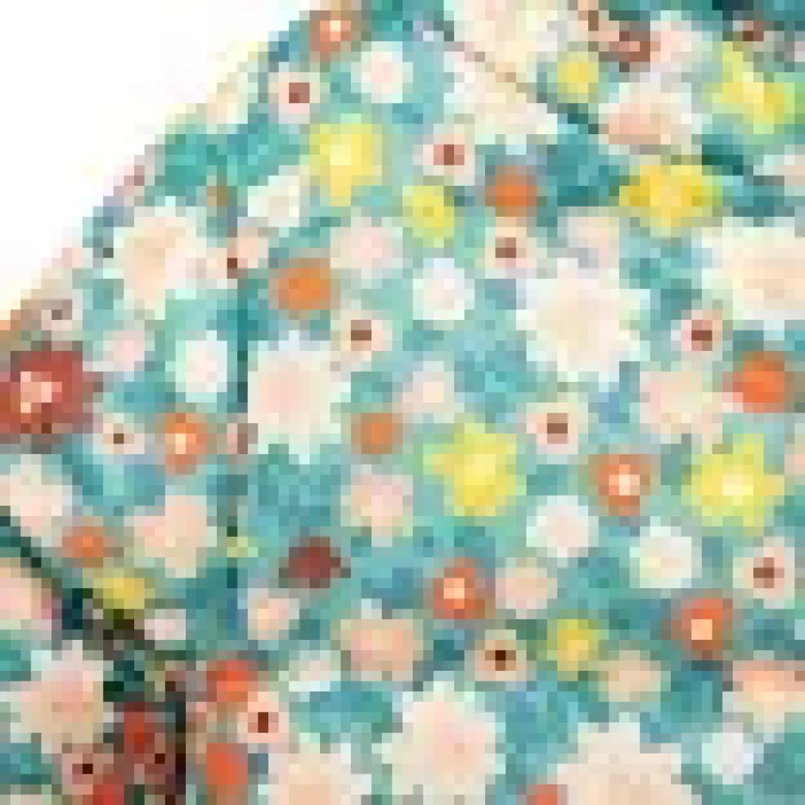 HelloBaby Basic Çiçek Baskılı Kulaklı Kapüşonlu Mont Kız Bebek