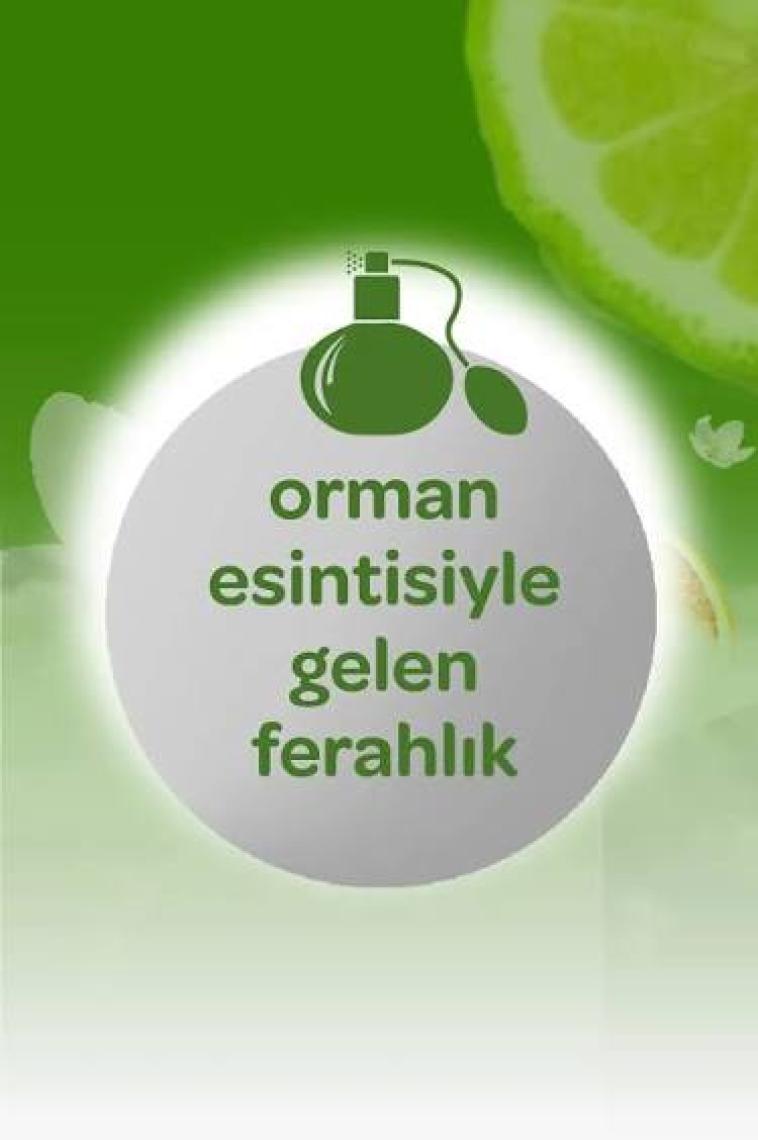 Dalin Orman Esıntısı Kolonya 150 ml