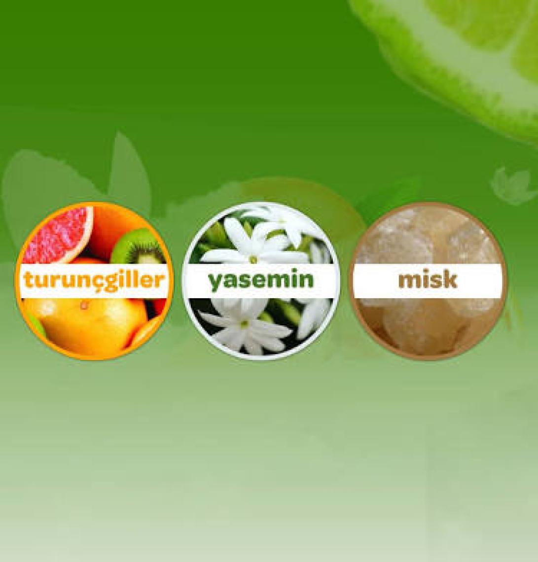 Dalin Orman Esıntısı Kolonya 150 ml